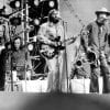 Beach Boys in Central Park 1971