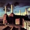 Pink Floyd Animals album cover