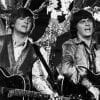 The Everly Brothers