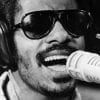 Stevie Wonder in 1973