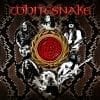 Whitesnake