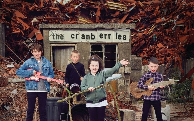 The Cranberries In The End Album Cover