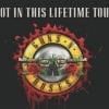 Guns N' Roses Not In This Lifetime Tour