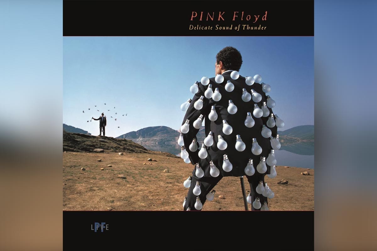 Pink Floyd's Delicate Sound of Thunder album cover
