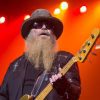 Dusty Hill in 2015