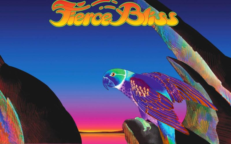 Ann Wilson Fierce Bliss album cover
